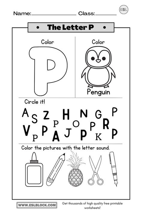 Letter P Crafts For Kindergarten, Letter P For Preschoolers, Letter P Activity For Preschoolers, Letter P Activities For Kindergarten, Preschool Letter P Activities, Preschool Homework Ideas, P Worksheets For Kindergarten, Letter P Preschool Activities, Letter P Kindergarten Activities