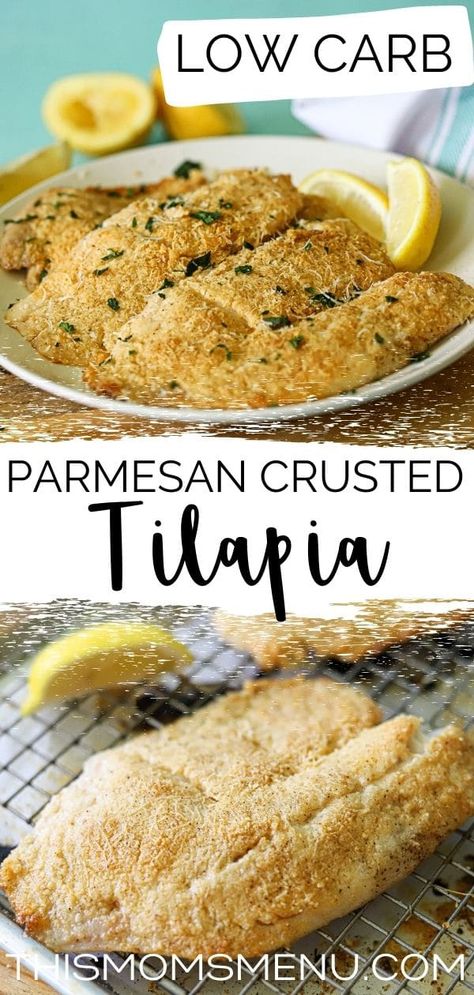 This delicious baked tilapia is ready in just 20 minutes, making it perfect for busy nights! With a delicious crust of parmesan cheese, garlic, lemon, and just a touch of spice this low-carb recipe will satisfy the entire family! Baked Tilapia Recipes, Parmesan Crusted Tilapia, Crusted Tilapia, Baked Tilapia, Lazy Keto, Touch Of Spice, Tilapia Recipes, Low Carb Baking, Parmesan Crusted