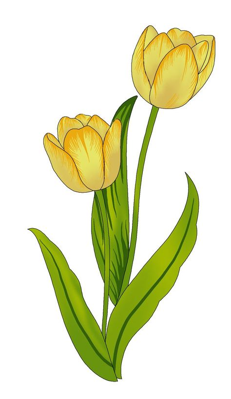 Yellow Tulips Drawing, Minimal Flower Drawing, Yellow Flowers Drawing, Tulip Flower Drawing, Minimal Tattoo Designs, Minimal Tattoo Ideas, Tulip Drawing, American Traditional Tattoo Ideas, Traditional Tattoo Ideas