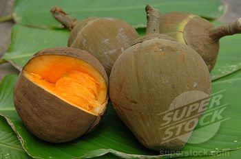 Sapote fruits Sapote Fruit, Travel Belize, Johnny Cake, Exotic Fruit, Breakfast Cake, Tropical Fruits, Tropical Fruit, Sustainable Lifestyle, Permaculture