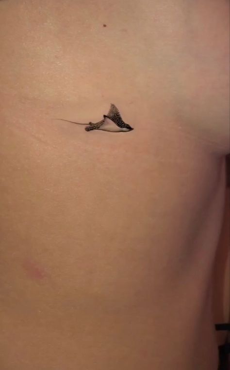 Aesthetic Stingray Tattoo, Cute Tattoos For 3 People, Cool Stingray Tattoo, Medium Length Tattoo, Back Ocean Tattoo, Tattoos About The Ocean, Cool Ocean Tattoos, Small Ray Tattoo, Ocean Tattoo Aesthetic