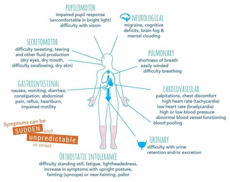 Autonomic Dysfunction, Neurocardiogenic Syncope, Dysautonomia Awareness, Dysautonomia Pots, Guillain Barre Syndrome, Chest Discomfort, Mast Cell Activation Syndrome, Increase Blood Pressure, Autonomic Nervous System