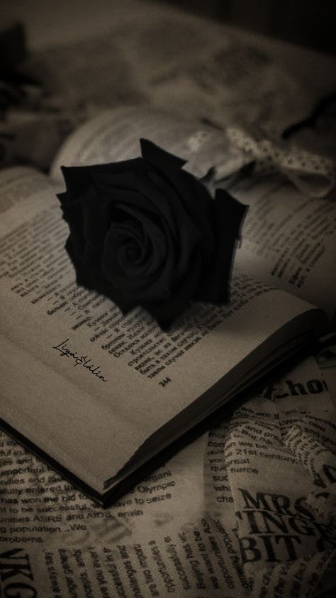 Black Books Aesthetic Wallpaper, Dark Umbrella Aesthetic, Books And Roses Aesthetic, Fancy Dark Aesthetic, Moody Book Aesthetic, Reader Profile Picture, Black Rose Aesthetic Dark, Writing Aesthetic Dark, Dark Roses Aesthetic