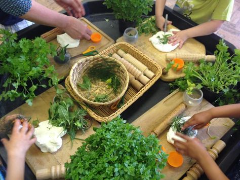 Fresh herbs and plain dough- each child creates their own mix and they all smell unique! Tuff Tray Ideas, Curiosity Approach, Dough Ideas, Tuff Spot, Continuous Provision, Eyfs Activities, Nursery Activities, Black Tray, Tuff Tray