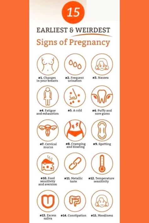 Sign Of Pregnancy, Pregnancy Diet Plan, Getting Pregnant Tips, Unique Pregnancy Announcement, Pregnancy Timeline, Pregnancy Facts, Mother Care, Healthy Pregnancy Tips, Early Pregnancy Signs