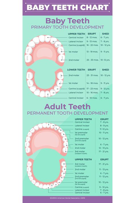 Use this handy baby teething chart to learn when it all starts Teething Chart By Age, Baby Teeth Chart, Baby Teething Chart, Baby Tooth Chart, Teeth Chart, Teething Chart, Mouth Hygiene, Tooth Chart, Dental Hygiene School