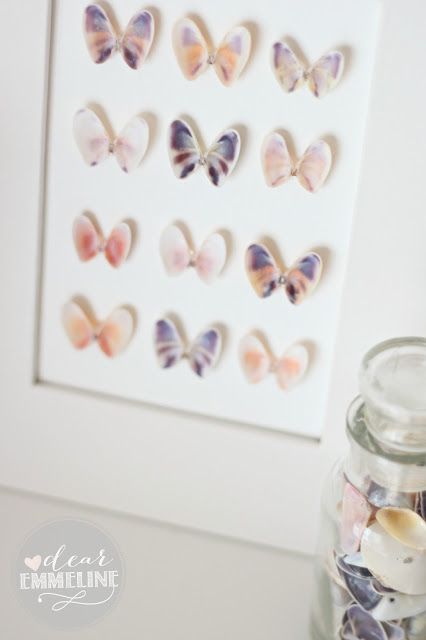 These pretty shells used as specimen wall art resemble butterflies Framed Shells, Shell Displays, Katie Lynn, Seashell Art Diy, District 4, Sea Shells Diy, Seashell Projects, Art Coquillage, Shells Diy