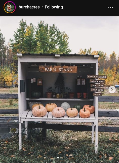 Farm Market Ideas, Outdoor Library, Farmers Market Stand, Farmers Market Display, Farm Flowers, Vegetable Stand, Pumpkin Stands, Eggs For Sale, Vegetable Farming