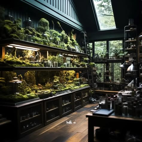 Terrarium Bookshelf, Terrarium Room, Vintage Office Design, Black Luxury House, Structures Art, Dark Academia Home, Large Terrarium, Reptile Room, Dream Bedroom Inspiration