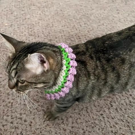 Crochet Cat Collar Pattern, Crochet Cat Collar Free Pattern, Pet Collar Crochet, Crochet Dog Collar, Crochet Cat Collar, Dog Leashes And Collars, Fashionable Crochet, Boho Dog Collar, Easy Beginner Crochet Patterns