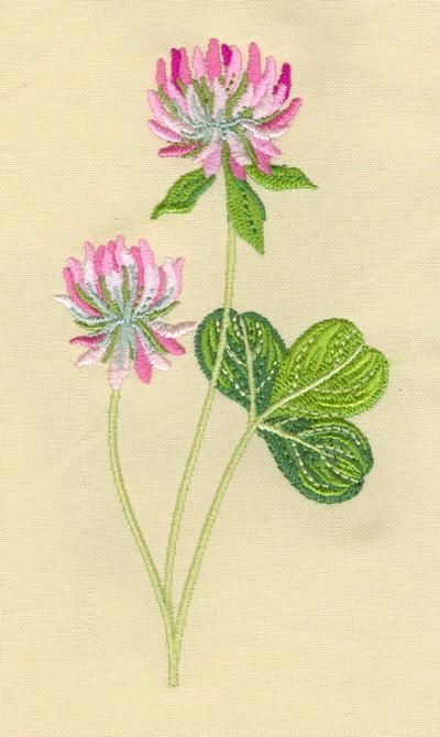 Set with embroidery designs of Clover Four Leaf Clover Embroidery, Clover Nursery, Clover Embroidery, Embroidery Design Sets, Four Leaf, Flower Embroidery, Leaf Clover, Four Leaf Clover, Embroidery Flowers