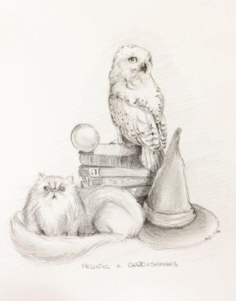 "Hedwig and Crookshanks" by Natacha Chrohra Crookshanks Drawing, Hedwig Drawing, Harry Potter Owl Drawing, Hedwig Tattoo, Unicorn Sketch, Owl Sketch, Harry Potter Owl, Harry Potter Hedwig, Harry Potter Tattoos