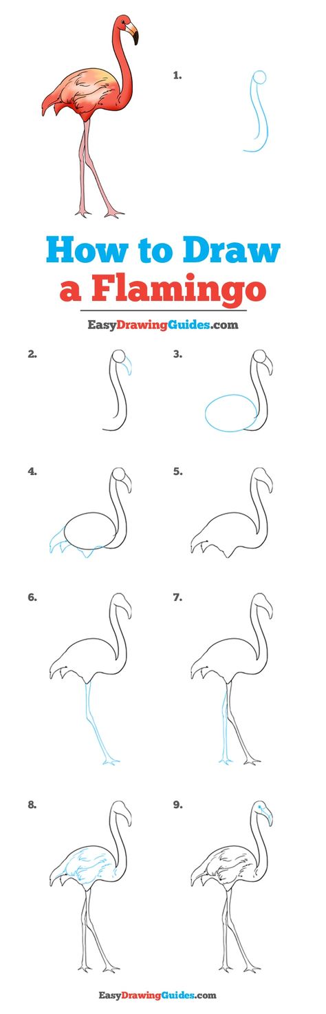 Learn How to Draw a Flamingo: Easy Step-by-Step Drawing Tutorial for Kids and Beginners. #Flamingo #DrawingTutorial #EasyDrawing See the full tutorial at https://easydrawingguides.com/how-to-draw-a-flamingo/. How To Draw Flamingo Step By Step, How To Draw A Flamingo Step By Step, How To Paint A Flamingo, How To Draw A Flamingo, Easy Flamingo Drawing, Draw Flamingo, Draw A Flamingo, Flamingo Drawing, Drawing Instructions