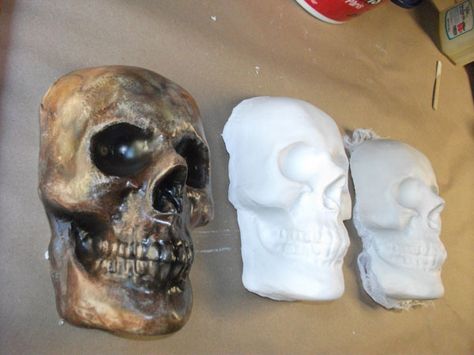 Make cool Skulls for PENNIES!!! Diy Skulls, Halloween Forum, Halloween Props Diy, Talk A Lot, Halloween 2015, Creepy Halloween, Halloween Inspiration, Halloween Deco, Halloween Props