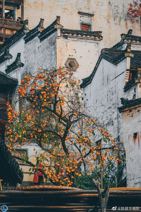 Autumn Is Coming, Chinese Aesthetic, Into The West, Chinese Landscape, Chinese Architecture, Chinese Painting, Old Buildings, Star Rail, Chinese Art