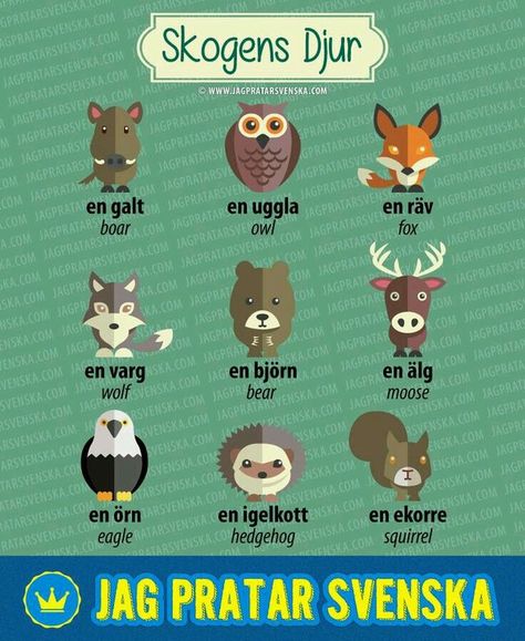 Swedish Animals, Swedish Vocabulary, Learning Swedish, Norway Language, Learn Swedish, Sweden Language, Swedish Language, Swedish Fish, Sweden Travel