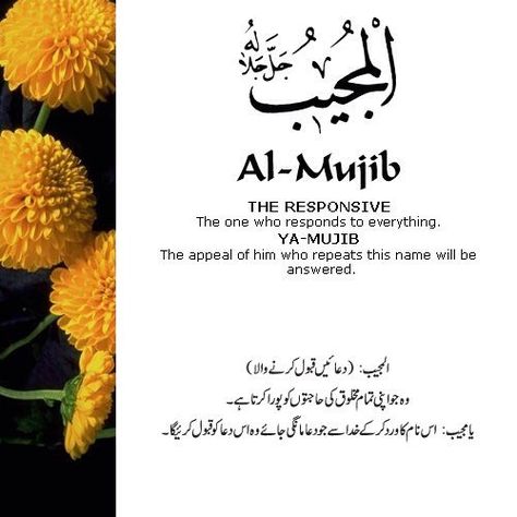 Asma Ul Husna, 99 Names Of Allah, Names Of Allah, Almighty Allah, Beautiful Names, Allah Names, Allah God, Islam Religion, Names Of God