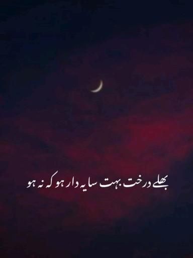 Pin on Best Urdu Poetry Urdu Funny Poetry Video, Naseeb Quotes Urdu, Tik Tok Urdu Poetry Videos, Urdu Poetry Videos, Beautiful Urdu Poetry, Urdu Songs, Poetry Videos, Romantic Poetry Quotes, Best Poetry