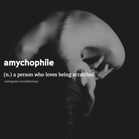 Amychophile A person who loves being scratched Vocabulary Test, Teen Dictionary, Word Symbols, Beautiful Words In English, Word Quotes, Language Works, Weird Words, Words Worth, Foreign Languages