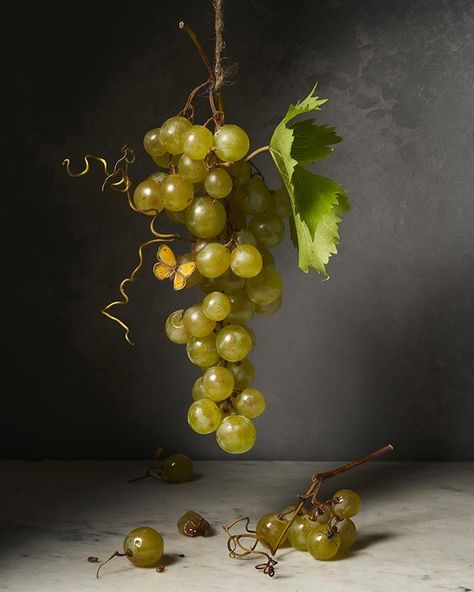 Anna Leroy - Personal Work - KG Talents Management @karinegarnier #photography #stilllife #softcolors #art #grapes #fruits #butterfly#annaleroy #KarineGarnier #KGagency Grape Photography, Grapes Photography, Grapes Still Life, Chiaroscuro Photography, Black Sherwani, Dutch Still Life, Fruit Still Life, Dark Food Photography, Wine Cork Art