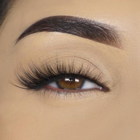 Lily Lashes, Lilly Lashes, Hollywood Starlet, Quinceanera Nails, Professional Eyelash Extensions, Cat Eye Lash, False Eyelash Extensions, Eye Makeup Pictures, Glam Makeup Look