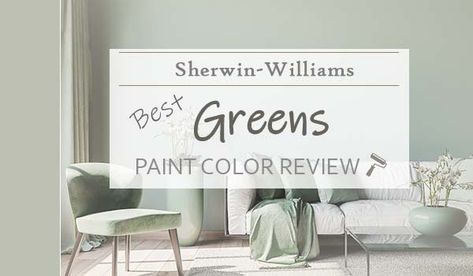 Sw Livable Green Paint, Sherwin Williams Pale Green Paint Colors, Sw Filmy Green Bedroom, Pale Green Wall Paint, Sw Forever Green, Sherwin Williams Light Green Colors, Sw Liveable Green Paint, Sw Nurture Green, Soften Green Sherwin Williams