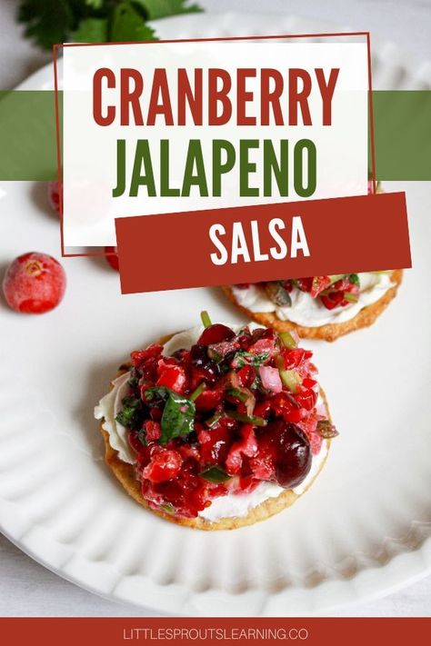 Cranberry Jalapeno Salsa-Little Sprouts Learning Cranberry Jalapeno Salsa, Cranberry Syrup Recipe, Pickled Hot Peppers, Cranberry Jalapeño, Best Cranberry Sauce, Cranberry Salsa, Canning Salsa, Cranberry Sauce Homemade, Fresh Salsa