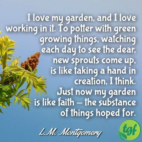 I love my garden, and I love working in it. To potter with green growing things, watching each day to see the dear, new sprouts come up, is like taking a hand in creation, I think. Just now my garden is like faith - the substance of things hoped for.... Gardening Memes, Garden Poems, Modern Garden Landscaping, Quotes To Brighten Your Day, Gardening Quotes, Sacred Garden, Floral Quotes, Healing Garden, Garden Quotes