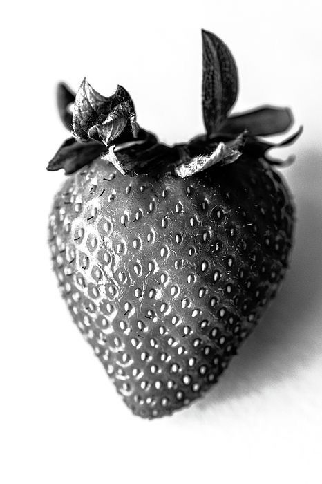 Food Photography Fruit, Strawberry Pictures, Black Strawberry, Fruits Photos, Black And White Art Drawing, Monkey Art, Pencil Shading, Botanical Tattoo, Fruit Photography