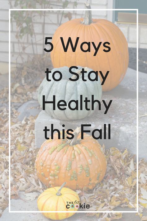 Fall is here and the weather is getting cooler, it's time to make sure that we stay healthy during the fall months! Here are 5 ways to stay healthy this fall so you can keep doing what you love - @TheFitCookie #AD #FitFluential #prAnaLovesMe | health | wellness | how to stay healthy | fall | Nutrition Topics, Fall Fitness, Winter Wellness, Healthy Living Motivation, Fall Months, Ways To Stay Healthy, Healthy Fall, Wellness Inspiration, Keeping Healthy