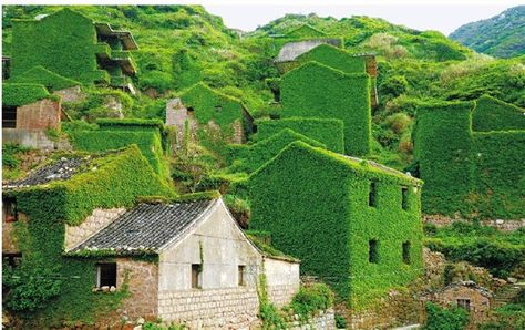 Recently, a set of photos of houses covered with tendril climbing plants in a deserted village in Zhoushan, east China’s Zhejiang province went viral on internet. Description from en.people.cn. I searched for this on bing.com/images Reclaimed By Nature, Christian Yoga, Urban Center, Green City, Learning Platform, World Pictures, Climbing Plants, Fishing Villages, Yoga Retreat