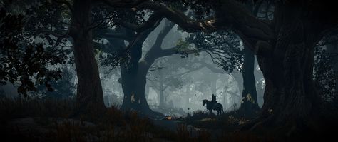 The Witcher 3: Wild Hunt Witcher 3 Desktop Wallpaper, The Witcher Cinematography, The Witcher Desktop Wallpaper, The Witcher Laptop Wallpaper, Witcher Ciri Aesthetic, The Witcher 3 Wallpapers 1920x1080, The Witcher Astethic, Witcher Pc Wallpaper, Witcher Astethic