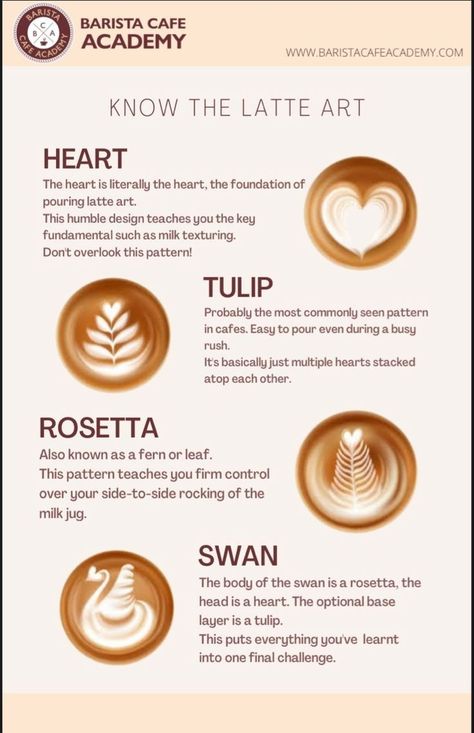 Barista Guide, Starbucks Quotes, Coffee Tutorial, Coffee Barista Art, Cold Coffee Drinks Recipes, Latte Art Tutorial, Coffee Education, Barista Art, Coffee Content