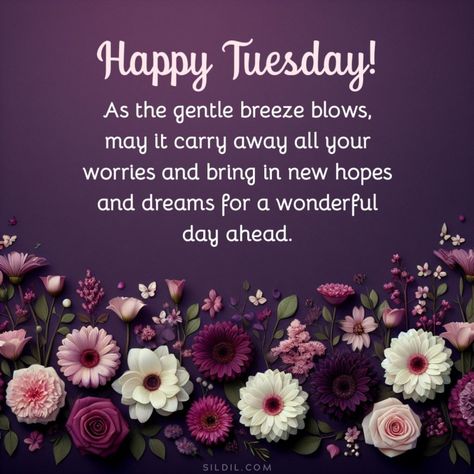 220 Happy Tuesday Blessings Quotes (INSPIRATIONAL) Tuesday Encouragement Quotes, Thankful Tuesday Quotes, Tuesday Morning Quotes Inspiration, Tuesday Afternoon Blessings, Blessed Tuesday Quotes Inspiration, Tuesday Motivation Inspiration Wisdom, Blessed Tuesday Quotes, Tuesday Encouragement, Happy Tuesday Quotes Inspiration