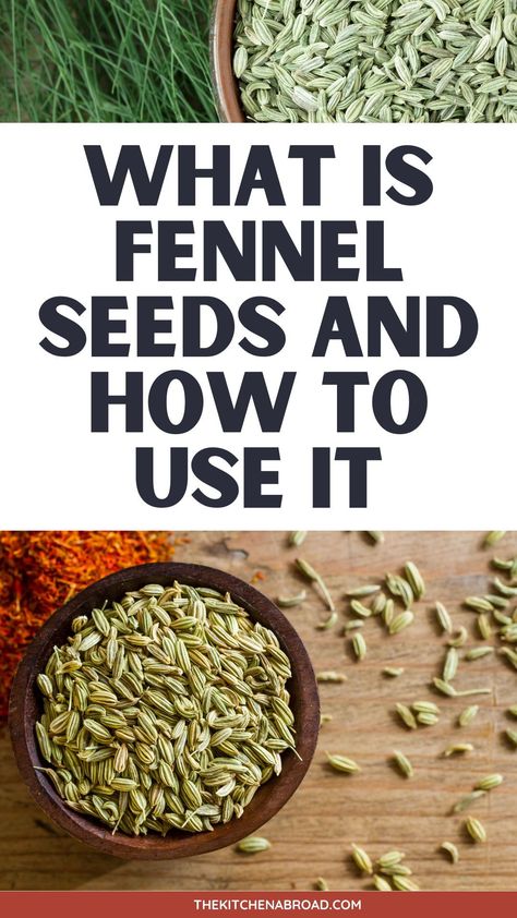 Discover the culinary and health wonders of Fennel seeds, your go-to guide for understanding their benefits, uses, and where to find them. Funnel Seeds Benefits, Recipes With Fennel Seeds, Fennel Seeds Water Benefits, Fennel Seeds Benefits, Seeds Benefits, Seed Cake, Water Benefits, Cooking For Beginners, Herb Seeds