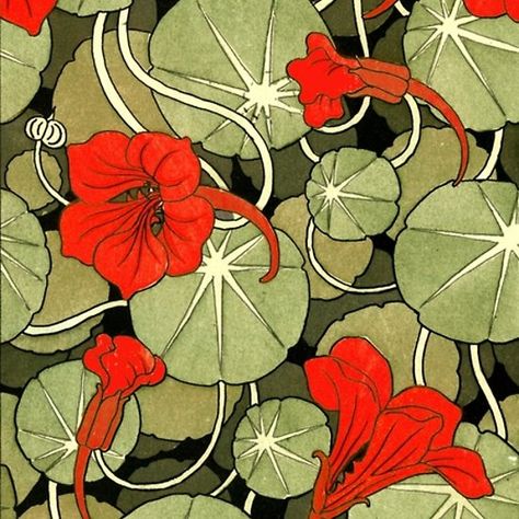 Nasturtium Flower Art, Art Nouveau Nasturtium, Nasturtium Art Nouveau, Red Art Nouveau, Red Green Illustration, Nasturtium Flower Drawing, Art Nouveau Plants, Nasturtium Painting, Nasturtium Art