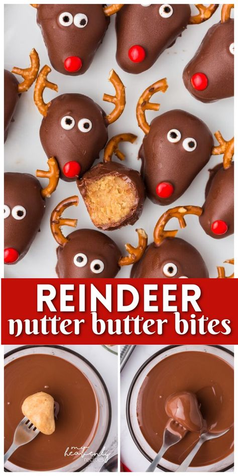 Make some festive reindeer nutter butter truffle bites for your Christmas party! They are so cute and taste delicious!Christmas dessert idea treat to make. Christmas truffle idea with peanut butter. Reindeer pretzels Reindeer Appetizers, Gnomes Cookies, Reindeer Droppings, Reindeer Pretzels, Truffle Bites, Reindeer Brownies, Turtle Pretzels, Reindeer Chow Recipe, Reindeer Brownie