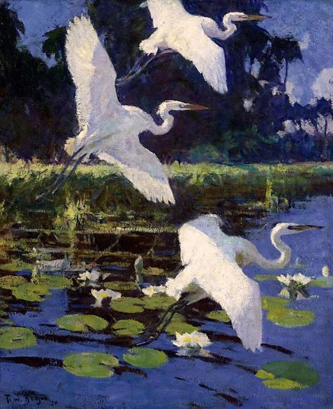 Birding on the Internet ~ Famous artists/bird paintings/birds — The paintings of William R. Beebe Frank Weston Benson, Diego Velazquez, Green Cars, American Impressionism, Childe Hassam, Winslow Homer, Herons, Wildlife Paintings, American Painting