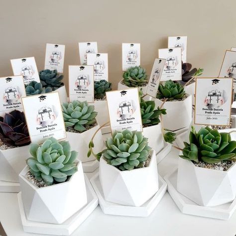 [Ad] Discover The Beauty Of Succulent Plant Return Gifts For Weddings. With These Succulent Plants, You Are Not Only Gifting A Unique And Stylish Present But Also Offering Your Guests A Lasting Reminder Of Your Special Day. #uniqueweddingfavorsforguests Return Gift Plants, Wedding Thank You Gifts For Guests Diy, Wedding Souvenirs For Guests, Tanaman Sukulen, Primera Comunion Ideas, Wedding Giveaways, Return Gifts, Return Gift, Gift For Wedding