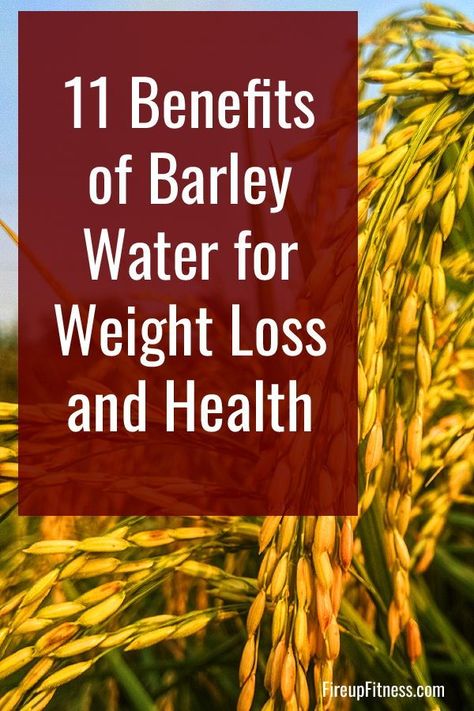 Barley Water Benefits, Barley Tea Benefits, Barley Water Recipe, Barley Health Benefits, Barley Benefits, Barley Water, Barley Grain, Lose Stomach Fat Fast, Water For Health