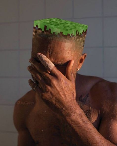 Frank Ocean Wallpaper, Steve Lacy, Minecraft Memes, Song Artists, December 31, Very Funny Pictures, Silly Pictures, Frank Ocean, Tyler The Creator