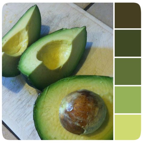 Sliced Avocados l Photography by @tracey_bureau l Food Photography l Color Palette Inspiration l Color Inspiration l Paint Colors l Paint Inspiration Avocado Green Colour Palette, Avocado Color Palette, Avocado Dress, Avocado Character, Interior Paint Schemes, Avocado Color, Sweet Home Style, Sliced Avocado, Color Palette Inspiration