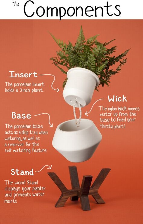 Diy Planters Indoor, Drukarka 3d, Watering Pot, نباتات منزلية, Self Watering Pots, Cement Diy, House Plant Pots, Concrete Diy Projects, Cement Pots