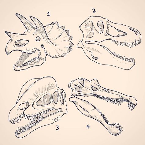 number 1 is cool Dino Skull, Dino Tattoo, Dinosaur Tattoo, Traditional Tattoo Inspiration, Dinosaur Tattoos, Skeleton Drawings, Dinosaur Images, Handpoke Tattoo, Dinosaur Drawing