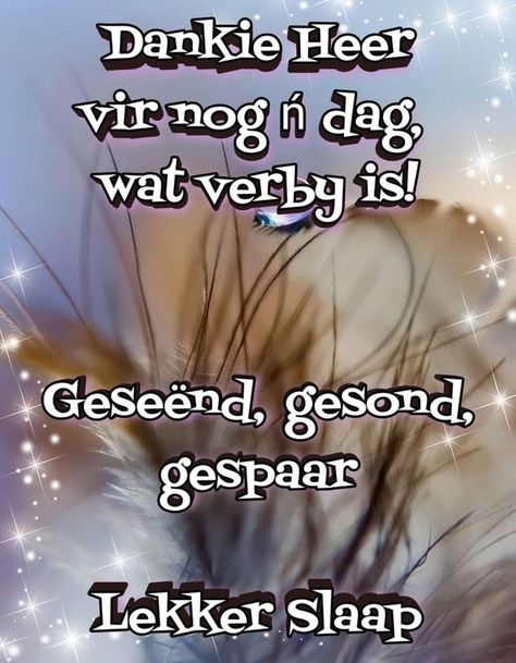 Nagse Boodskappies, Nagsê Boodskappies, Good Morning Smiley, Lekker Slaap, Night Blessings, Afrikaans Quotes, Good Night Blessings, Paris Pictures, Good Night Greetings