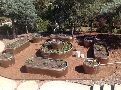 Unique raised beds idea...using water troughs!  We paint d them to give them a more refined look. Trough Planter, Water Trough, Planter Beds, Trough Planters, Side Garden, Raised Beds, Yard, Patio, Paint