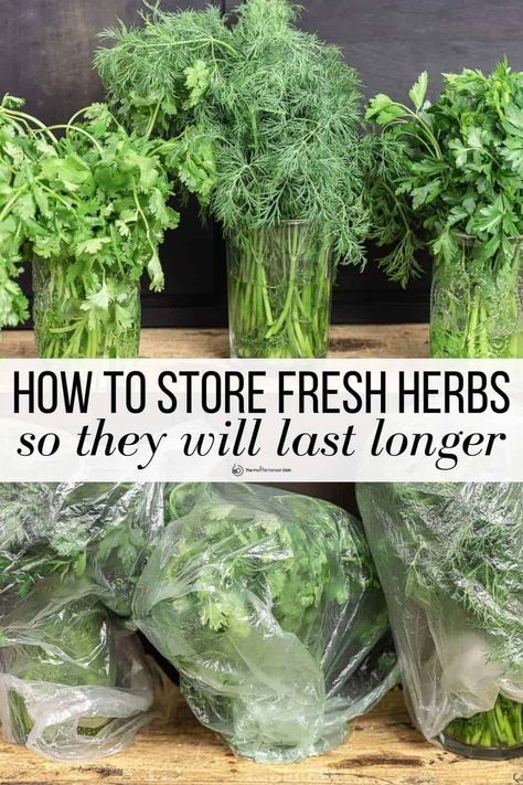 Wondering how to store herbs so they last longer? This guide gives you 2 easy foolproof ways to keep your herbs fresh + tips to keep herbs fresh for 2 weeks or even longer! Fresh Herbs Storage, Keep Herbs Fresh, Preserve Fresh Herbs, Store Fresh Herbs, Drying Fresh Herbs, Freezing Herbs, Herb Storage, Preserving Herbs, Harvesting Herbs