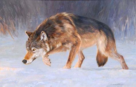 Wolf painting Wolf Stalking, Stalking Wolf, Wolf Acrylic Painting Tutorial, Wolf Oil Painting, Wolf Garden Art, Wolf Gouache Painting, Wolf Moon Painting, School Drawing, Movie Maker