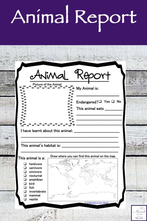 This {FREE} Printable Animal Report is great for the child who deeply loves animals and is interested in learning more about them. Animal School Project Ideas, Zoology Project Ideas, Animal Report Template, Animal Research Project, 3rd Grade Books, Book Report Template, Animal Report, Animal Science, Animal Book