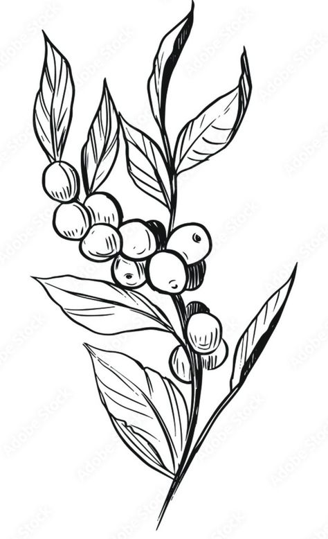 Cacao Flower Tattoo, Coffee Tree Tattoo, Coffee Bean Flower Tattoo, Coffee Leaves Tattoo, Coffee Branch Drawing, Coffee Branch Tattoo, Coffee Plant Tattoo Color, Coffee Flower Tattoo, Coffee Bean Tattoo